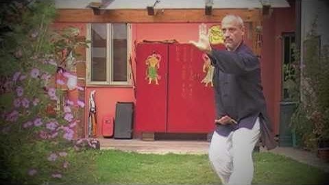 八卦掌-猴子Bagua Zhang IV Circle, Monkey