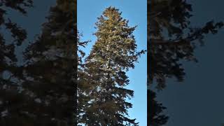 Gapię Się Na Górę I Na Ten Kamieniołom W Łodygowicach Łowrót Óry