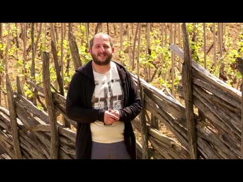 ეთნოფორი • etnopori (ანონსი / რიგით მე-100) 01.06.2017წ.