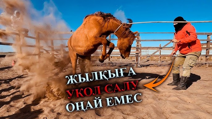 Сексуалды жас аққұбалар Иззи Дельфиннің қалың әтешіне мінеді (порно)