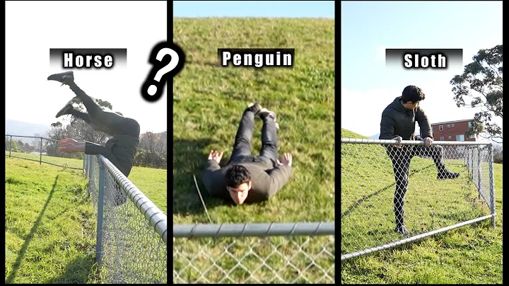 How Different Animals Get Over A Fence. (COMPILATION)