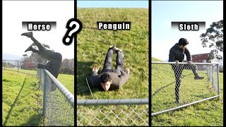 How Different Animals Get Over A Fence. (COMPILATION) Resimi