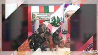 Download Lagu INGATLAH HARI INI - PROJECPOP || Videoklip MP3