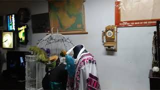 Find Furniture Collectables Antiques + at Downtown St Louis Furniture Warehouse @StLouisCG #Resale