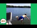 Can You Say: Boat BREAKING Belly FLOP?! 😆| Funny Fails | AFV 2020