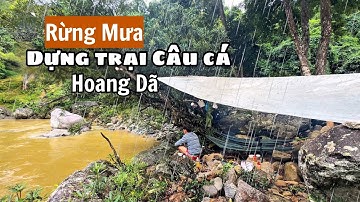 Câu Cá Hoang Dã Dựng Trại Trong Rừng Mưa Nhiệt Đới | Wild Fishing