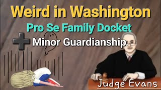 Weird Washington - Pro Se / Guardianship - Judge Evans