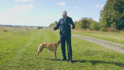 Introductie van Paisley - Michael Caulfield | Spreker | Motivatiegesprek