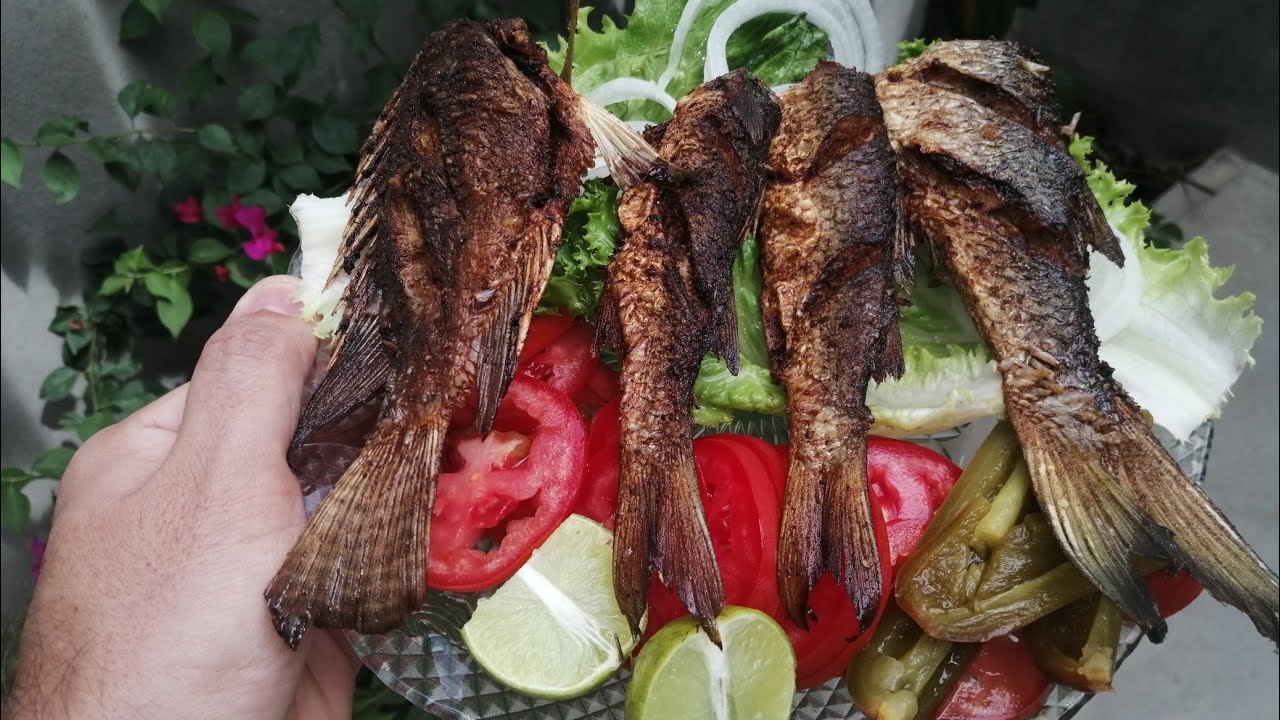 COMO PREPARAR PESCADO FRITO//Receta Prácticas 🎣🎣🤤🥗🥗🥗🔥🔥 YouTube COMO PREPARAR PESCADO FRITO//Receta Prácticas 🎣🎣🤤🥗🥗🥗🔥🔥 YouTube