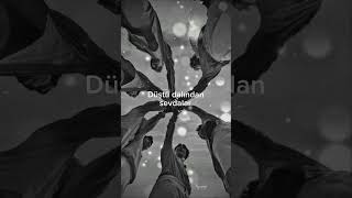 Bir Ufacık Poyraz Esti...