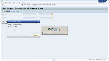 AVinash2 c4cyoutube testing SAP CRM Middleware 3 Initial Load  First Time Download