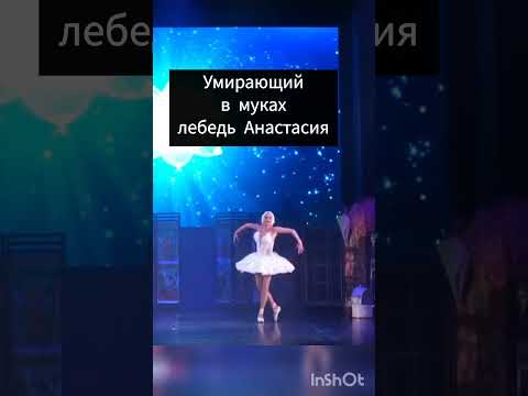 Птичку прямо жалко... #анастасияволочкова #волочкова #лебединоеозеро