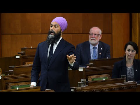 Jagmeet Singh won't apologize for calling Bloc MP racist