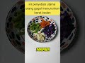menudiet #menudiet