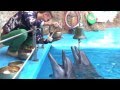 Миразвон: дельфинотерапия с поющими чашами