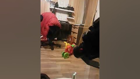 Feiyutech a1000...not working/poor customer service