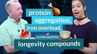 Gordon Lithgow, Ph.D. on Protein Aggregation, Iron Overload & the Search for Longevity Compounds