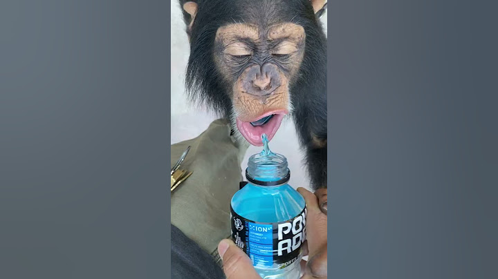 MONKEYS LOVE POWERADE ! 🙉🥤
