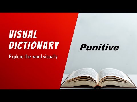 Punitive Meaning |