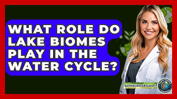 What Role Do Lake Biomes Play In The Water Cycle? - Earth Science Answers