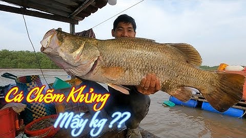 Đăng Bãi Nhà Dính Cá Chẽm Siêu To |Gia Đình Cần Giờ .44 |