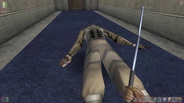 Deus Ex GMDX Walkthrough #10 - NYC Helibase