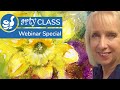 Paint a Spring Daffodil with Jane Betteridge