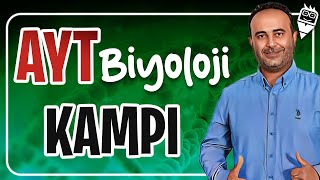 Ayt Biyoloji Kampı 2025 7. Gün Üreme Si̇stemi̇ I Konu Anlatımı