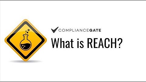 What is REACH?