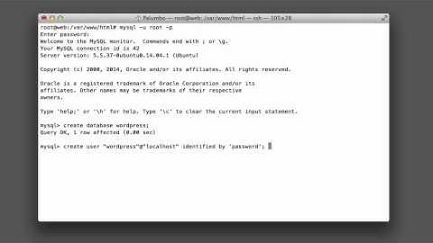 Wordpress - Video 4 - Installing Wordpress