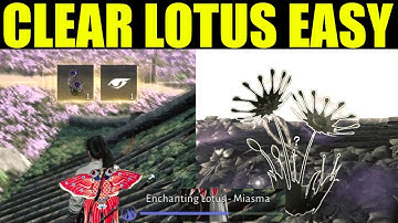 Where winds meet - how to clear enchanting lotus miasma puzzle (clear lotus flower)