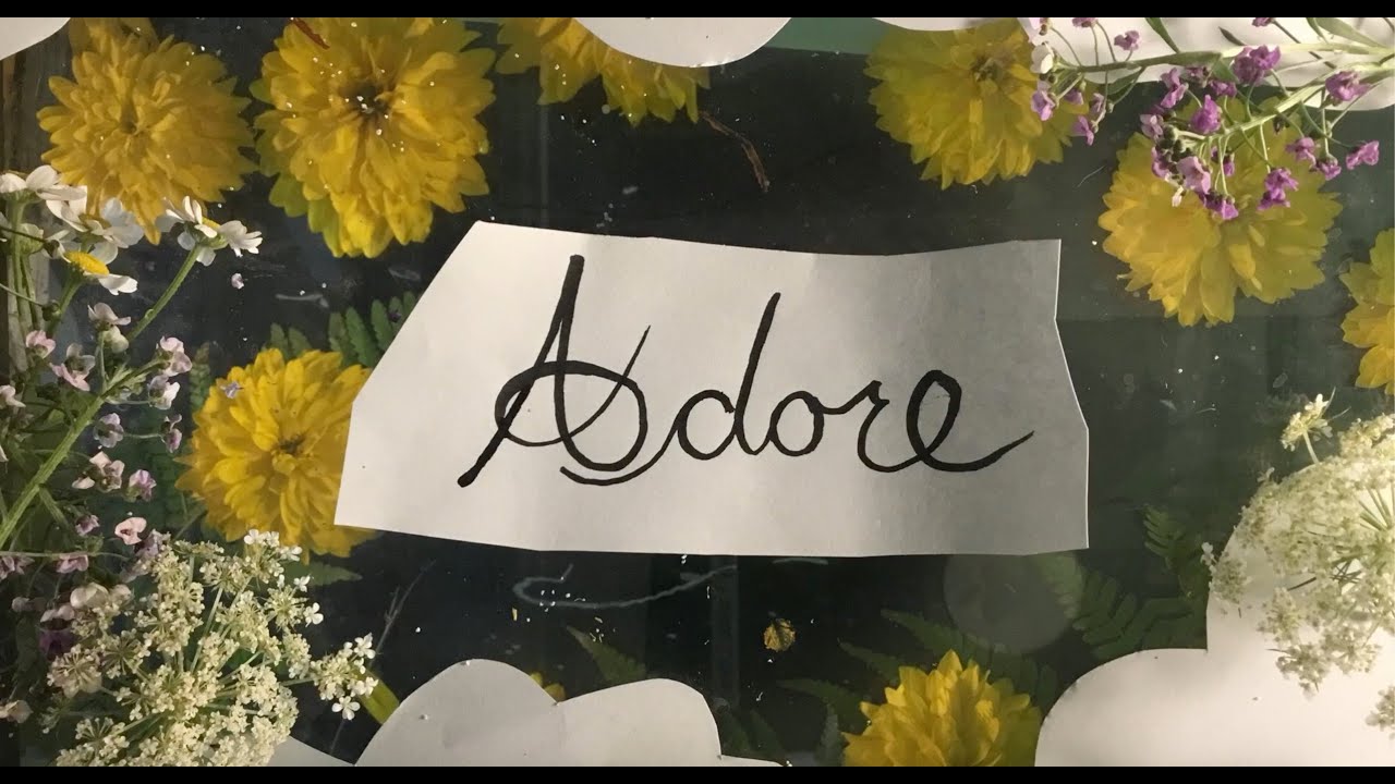 Ver Sly Violet - Adore (Official Music Video) | Stop-motion animation en YouTube Ver Sly Violet - Adore (Official Music Video) | Stop-motion animation en YouTube