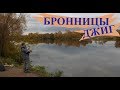 Спиннинг на МОСКВА-РЕКЕ в Бронницах. ЩУКА на ДЖИГ осенью в Подмосковье.