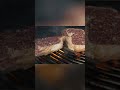 How to grill the PERFECT Ribeye Steak #grilling