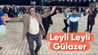 Leyli Leyli Gülazer Efe Müzik