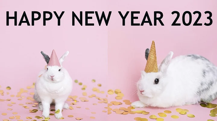 Happy New Year 2023.  New Year of the Rabbit.  New Year song with cute and funny Rabbit.