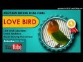 Download Lagu Kumpulan Masteran Mp3 Suara Kicau Burung Lovebird Ngekek juara
