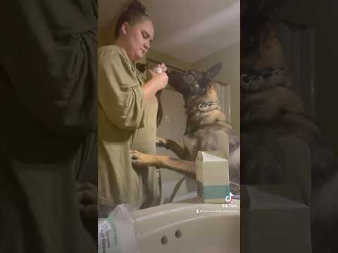 Service Dog Alerts