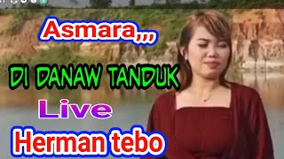 Lagu dangdut jambi, VIRAL,,,Herman Tebo (Danau tanduk)