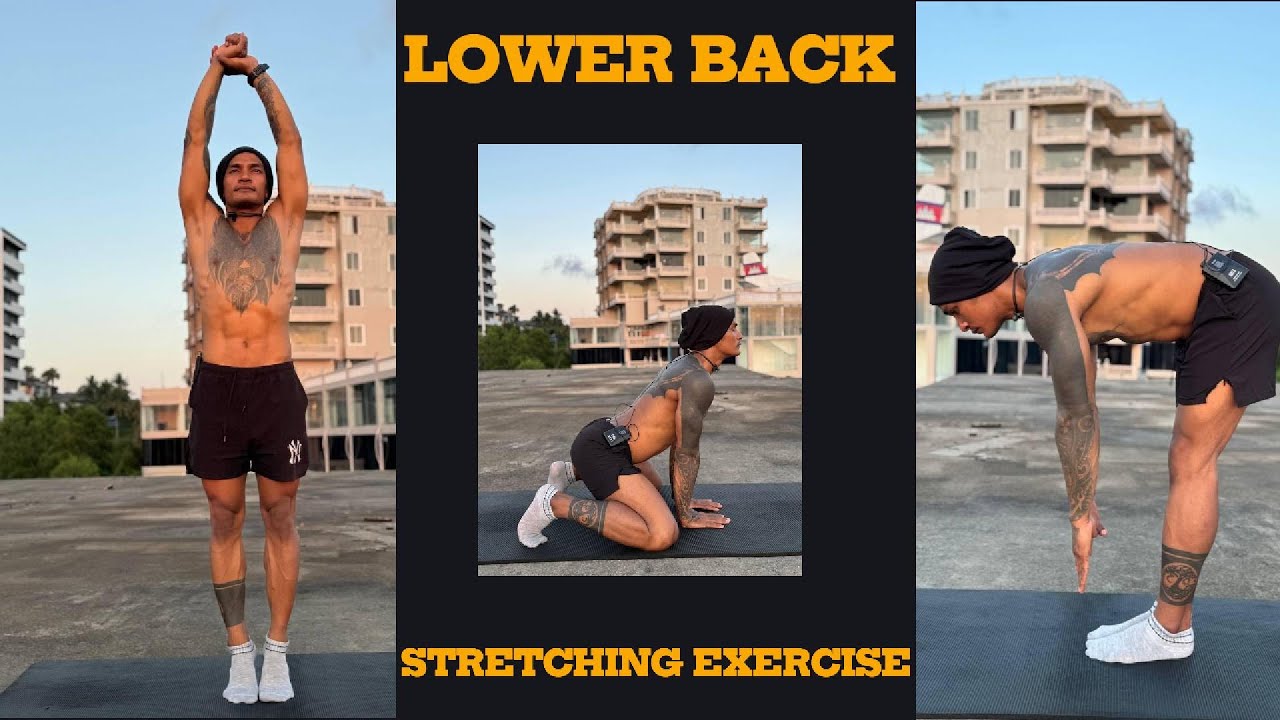 LOWER BACK STRETCHING EXERCISE-SHORT VIDEOS - YouTube