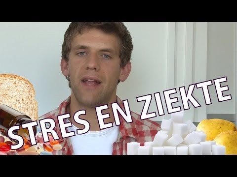 Jesse van der Velde - Stress leidt tot ziekte