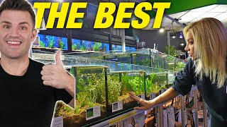 This Is How You Build a Fish Store!