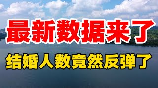 最新数据来了，结婚人数竟然反弹了