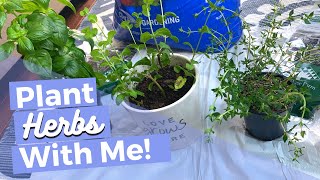 PLANT HERBS WITH ME | HOW TO | Planting Herbs in Containers | #PlantMom | Basil and Thyme!