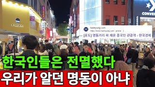 Download Lagu 여기 한국 맞나요? | 토종 멸종, 외국인 99% MP3