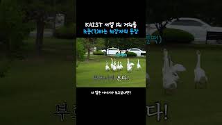 KAIST 서열 1위 거위를 조종()하는 최강자의 등장