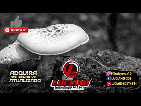 MELO DE COMPREI UM LANÇA 2021 REMIX @Lucianocds10