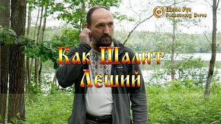 Как Шалит Леший. [Ведзнич]