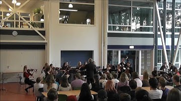 Schoolconcerten Arcato