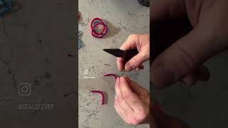 How To Make Tiny Scale Bungee